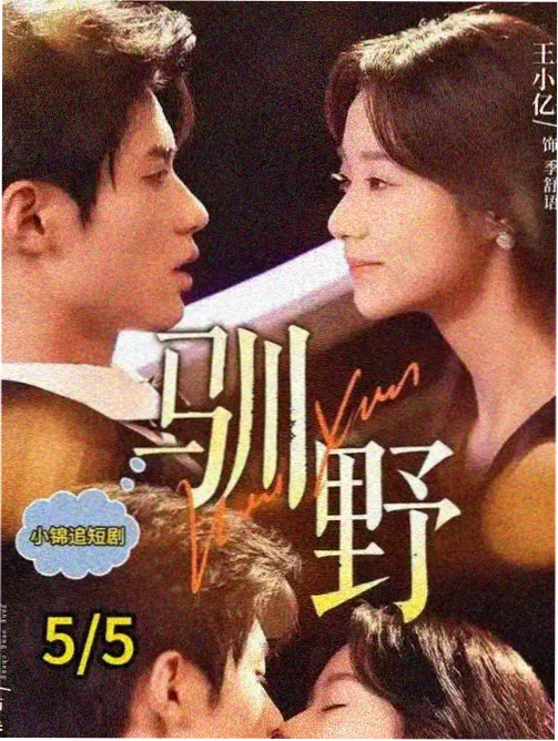 蜜桃影业纪录剧集风味人间行条目图